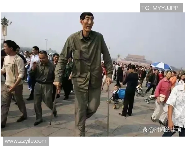 姚明缩小特效揭秘如何让巨人变小的魔法与科技结合的奇妙之旅