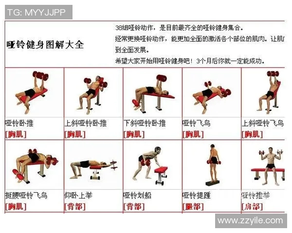 探索多重的哑铃训练方法提升全身肌肉力量与耐力的最佳方案